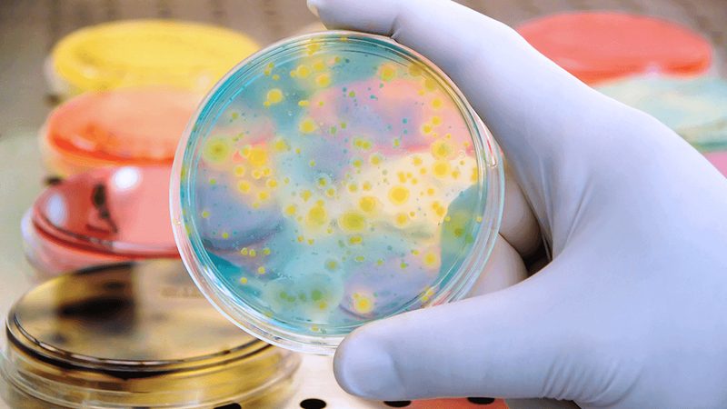 人体内酶的神秘来源：揭秘生物合成之路**