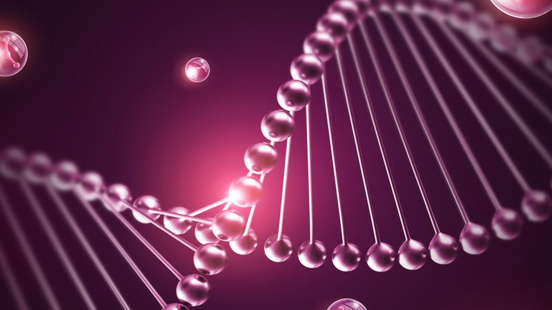 CDMO工艺流程：揭秘其优缺点对比