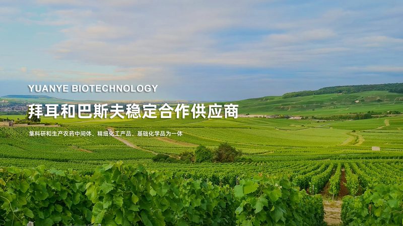 细胞工厂生物反应器型号解析：揭秘不同型号的奥秘
