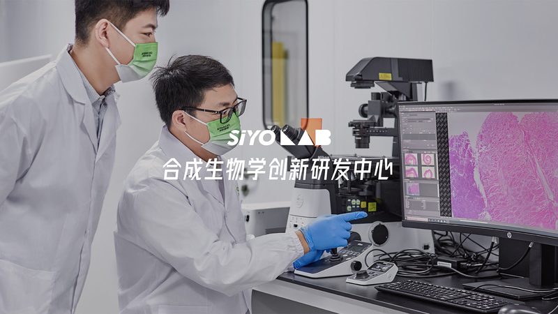 高硼硅玻璃耗材：揭秘其背后的科技与选择之道**