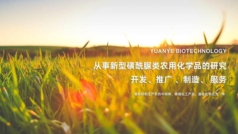 酶，洗涤界的“清洁小能手”**