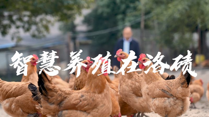 酶在洗涤中的魔法：揭秘其作用原理**