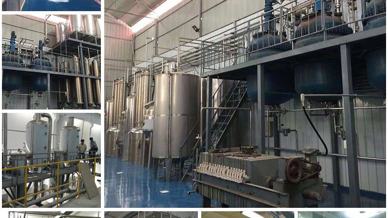 核酸药物CDMO代工费用：揭秘其构成与影响因素