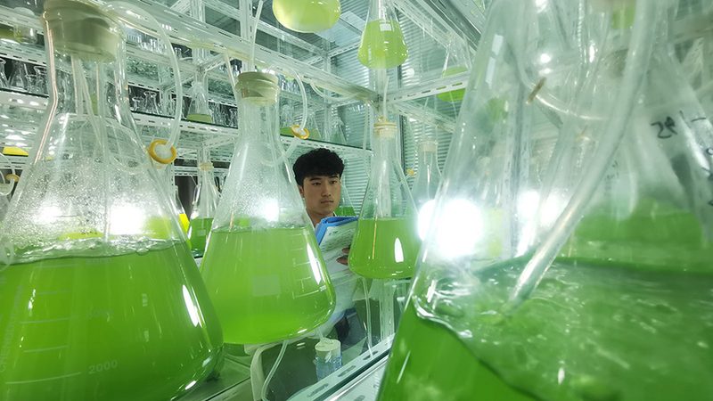 细胞培养基定制报价